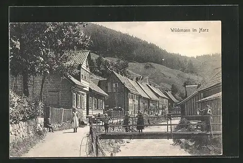 AK Wildemann /Harz, Ortspartie, Kinder auf der kleinen Brücke