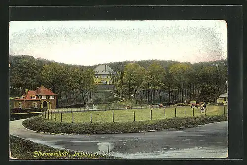 AK Bloemendaal, In Duinen Daal