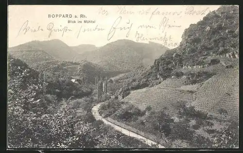 AK Boppard / Rhein, Blick ins Mühltal