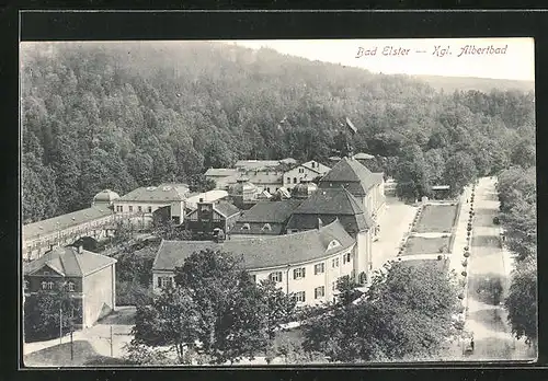 AK Bad Elster, Blick auf das königliche Albertbad