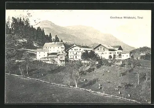 AK Wildbichl, Blick auf das Gasthaus