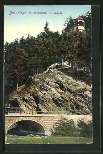 AK Braunlage i. H., Blick zur Steinklippe im Sommer