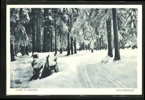 AK Bad Sachsa /Harz, Waldesruhe 8im Winterkleid