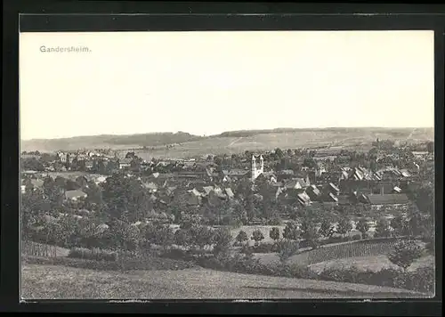 AK Gandersheim, Totalansicht