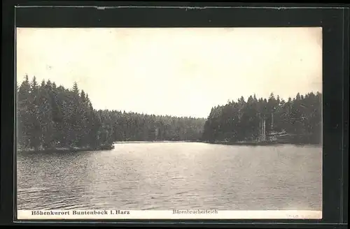 AK Buntenbock i. Harz, Bärenbrucherteich