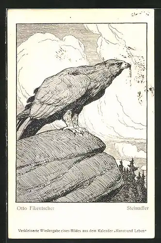 Künstler-AK sign. Otto Fikentscher: Steinadler auf einem Berggipfel