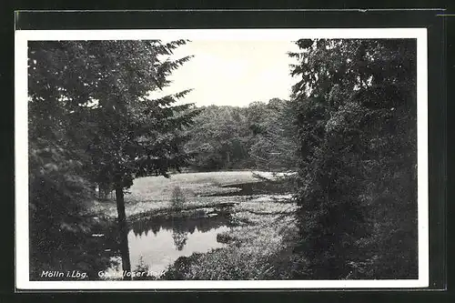 AK Mölln i. Lbg., Grundloser Kolk