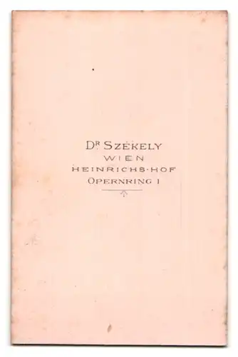 Fotografie Dr. Székely, Wien, Opernring 1, Portrait modisch gekleideter Herr mit Schnurrbart