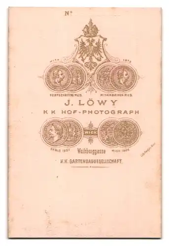 Fotografie J. Löwy, Wien, Weihburggasse, Portrait junge Dame mit Hochsteckfrisur