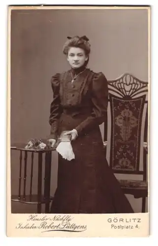 Fotografie Heusler Nachflg., Görlitz, Postplatz 4, Portrait junge Dame im Kleid mit Buch in der Hand