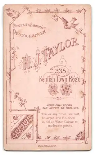 Fotografie H. J. Taylor, London, 335, Kentish Town Road, Portrait bürgerliche Dame mit Buch an Fell geleht