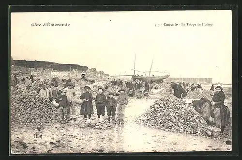 AK Cancale / Côte d`Émeraude, Le Triage de Huîtres, Muschelsammerinnen beim Sortieren