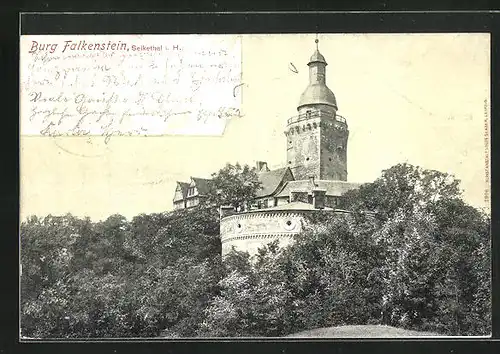 AK Selkethal i. H., Ansicht der Burg Falkenstein