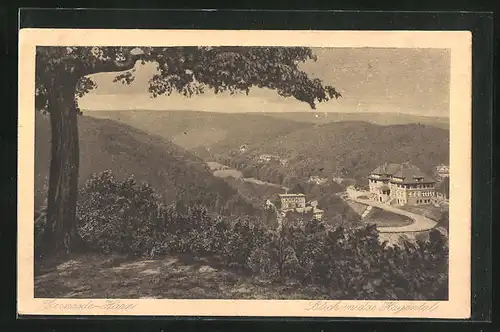 AK Gernrode /Harz, Blick in das Hagental