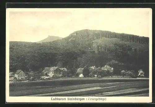 AK Steinbergen /Wesergebirge, Gesamtansicht