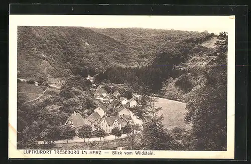 AK Treseburg / Harz, Gesamtansicht vom Wildstein