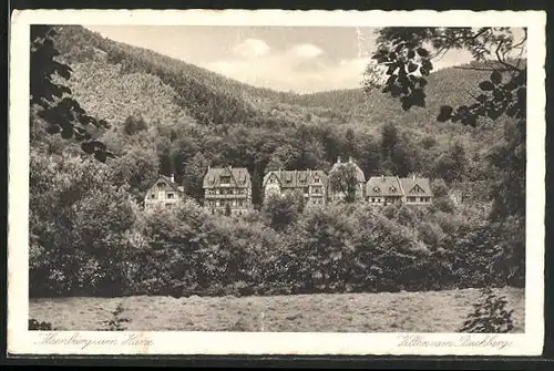 AK Ilsenburg / Harz, Villen mit Buchberg