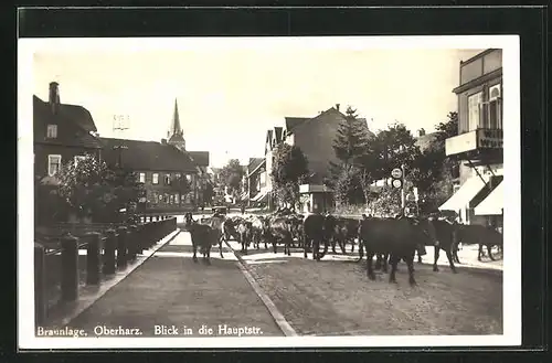 AK Braunlage /Harz, Blick in die Hauptstrasse