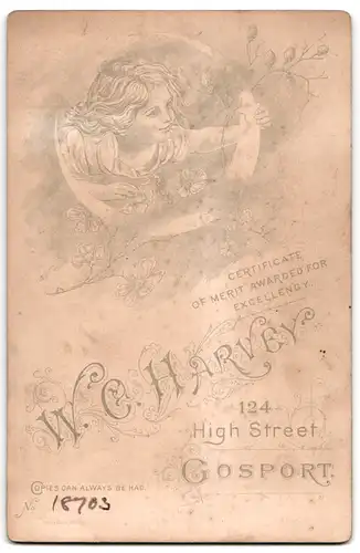 Fotografie W. C. Harvey, Gosport, 124, High St., Portrait kleines Mädchen im weissen Kleid