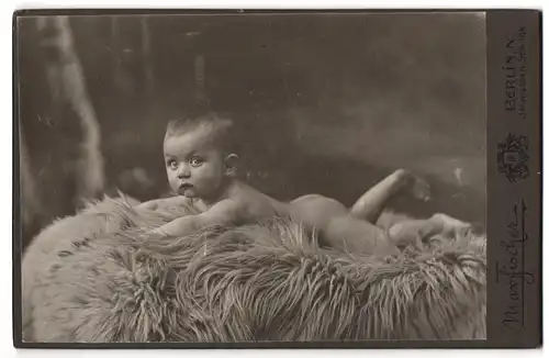 Fotografie Max Fischer, Berlin-N, Invaliden Strasse 164, Portrait nackiges Kleinkind bäuchlings auf Fell liegend