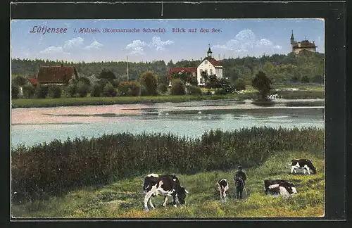 AK Lütjensee /Holstein, Blick auf den See
