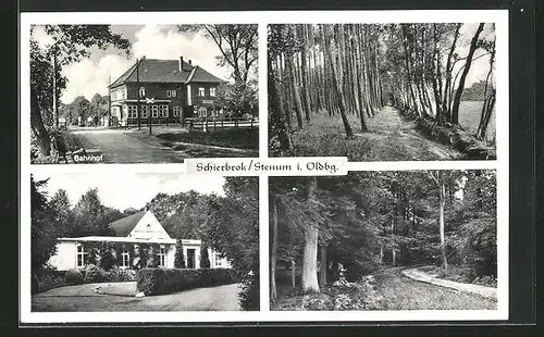 AK Schierbrock /Stenum i. Oldbg., Bahnhof, Haus Gustav Mahrt, Wanderwege