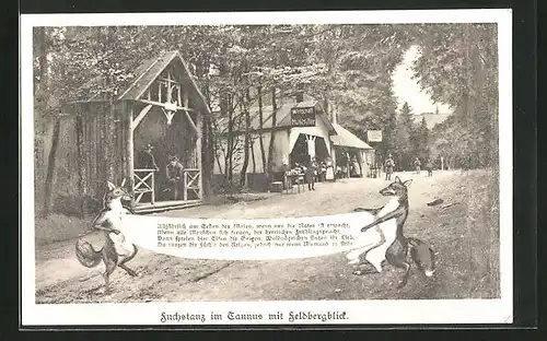 AK Königstein /Taunus, Gasthaus Fuchstanz Math. Müller, Füchse