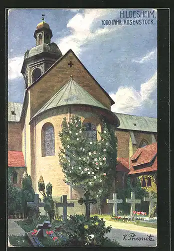 Künstler-AK Hildesheim, Dom und 1000 jähr. Rosenstock mit Friedhof