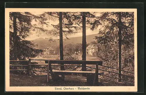 AK Elend /Oberharz, Waldpartie