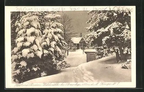 AK Braunlage i. H., Hotel u. Pension Waldmühle im Schnee