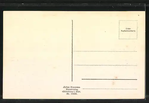 AK Braunlage i. H., Ortsansicht