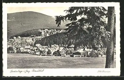 AK Braunlage i. H., Ortsansicht