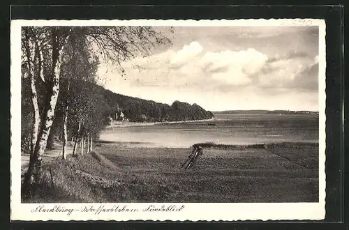 AK Flensburg, Uferansicht mit Birken