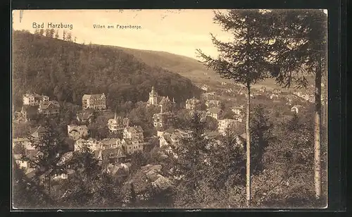 AK Bad Harzburg, Villen am Papenberge