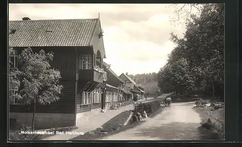 AK Bad Harzburg, Hotel-Pension Molkenhaus, Brockenwege