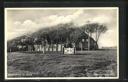 AK St. Peter /Nordsee, Eiderstedter Bauernhof