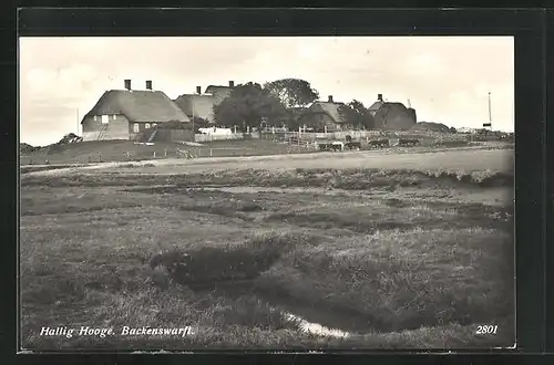 AK Hallig Hooge, Backenswarft, Kühe