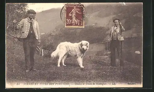 AK Guides et Chien de Montagnes, Pyrenäenberghund