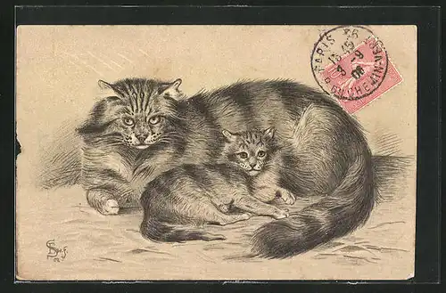 Künstler-AK Katze mit Jungtier