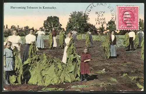 AK Harvesting Tobacco in Kentucky, Arbeiter bei der Tabakernte