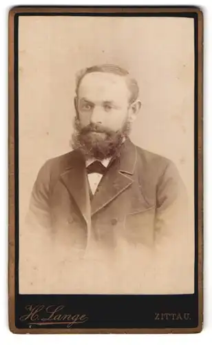 Fotografie H. Lange, Zittau, Bautzenerstrase 18, Portrait modisch gekleideter Herr mit Vollbart