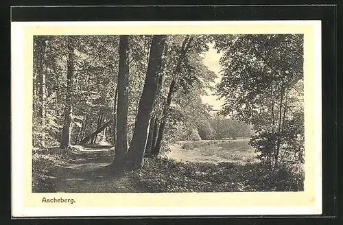 AK Ascheberg, Waldweg mit Uferpartie