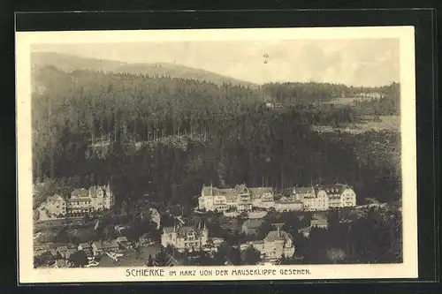 AK Schierke i.Harz, Ortsansicht von der Mauseklippe aus