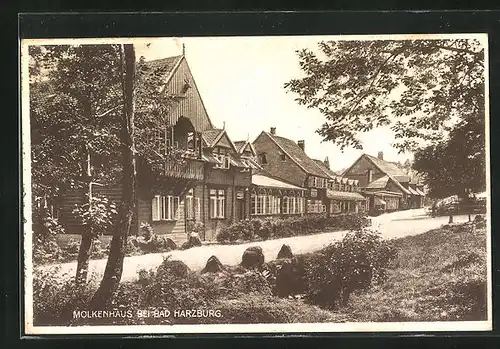 AK Bad Harzburg, Hotel-Pension Molkenhaus