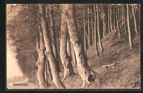 AK Scharbeutz, Bank an einem Waldhang