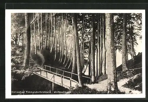 AK Timmendorfer Strand, Wolfsschlucht