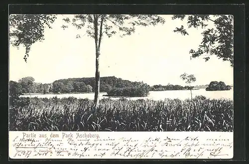 AK Ascheberg, Partie aus dem Park