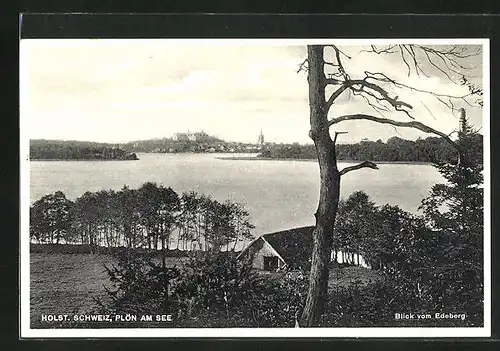 AK Plön am See / Holst. Schweiz, Blick vom Edeberg auf den Ort