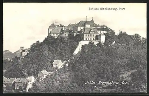 AK Blankenburg /Harz, Teilansicht mit Schloss