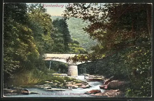 AK Blankenburg a. H., Die Steinerne Brücke im Schwarzatal
